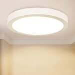 CEILING LIGHT