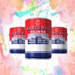 NATIONAL PAINT